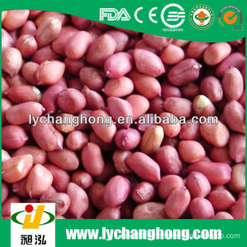 Dongbei origine meilleure qualité arachide rouge à vendre